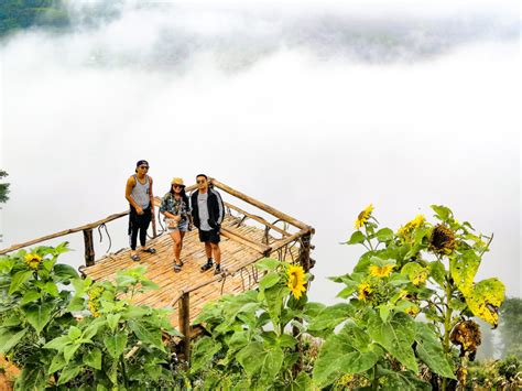 Calamba Farm Sea of Clouds Maragusan .